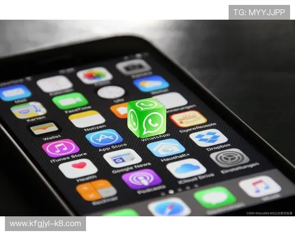 掌握K8凯发网站登录技巧,提升账号登录效率与安全性 掌握K8凯发网站登录技巧,提升账号登录效率与安全性