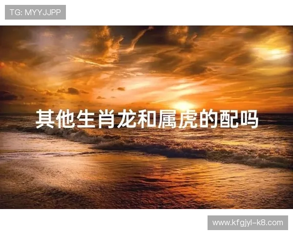 出龙和虎的区别详解：从外观特征到战斗技巧全面分析