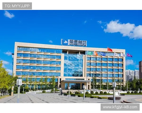 全面解析凯发集团官网的安全保障措施与用户隐私保护策略确保玩家权益